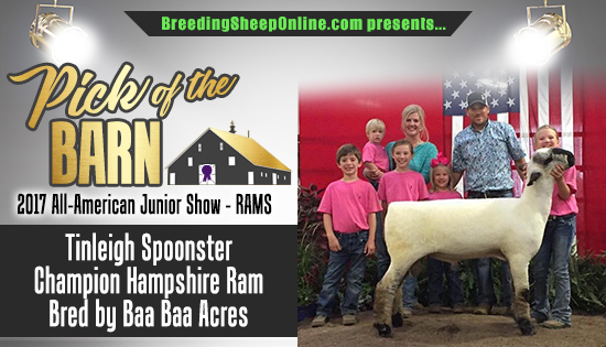 Pick of the Barn - AAJS 2017 Rams