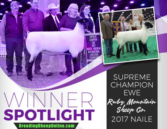 Winner Spotlight