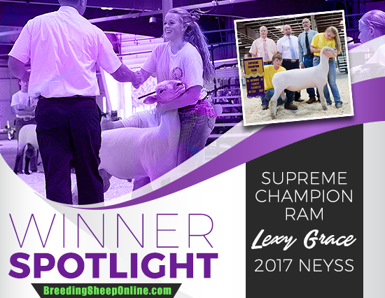 Winner Spotlight