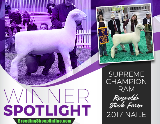 Winner Spotlight