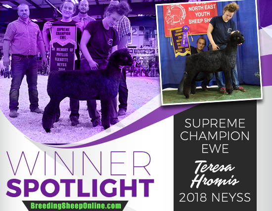 Winner Spotlight