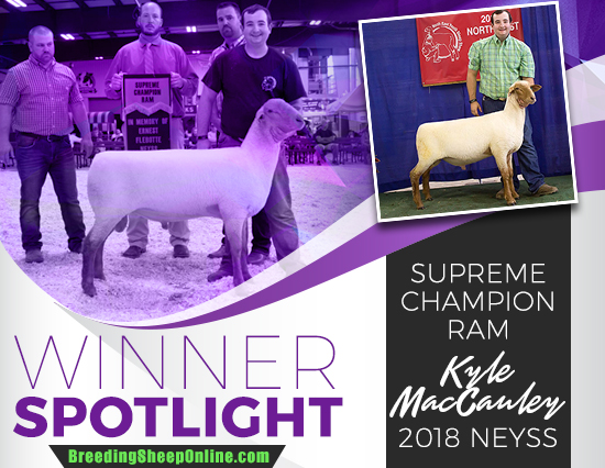 Winner Spotlight